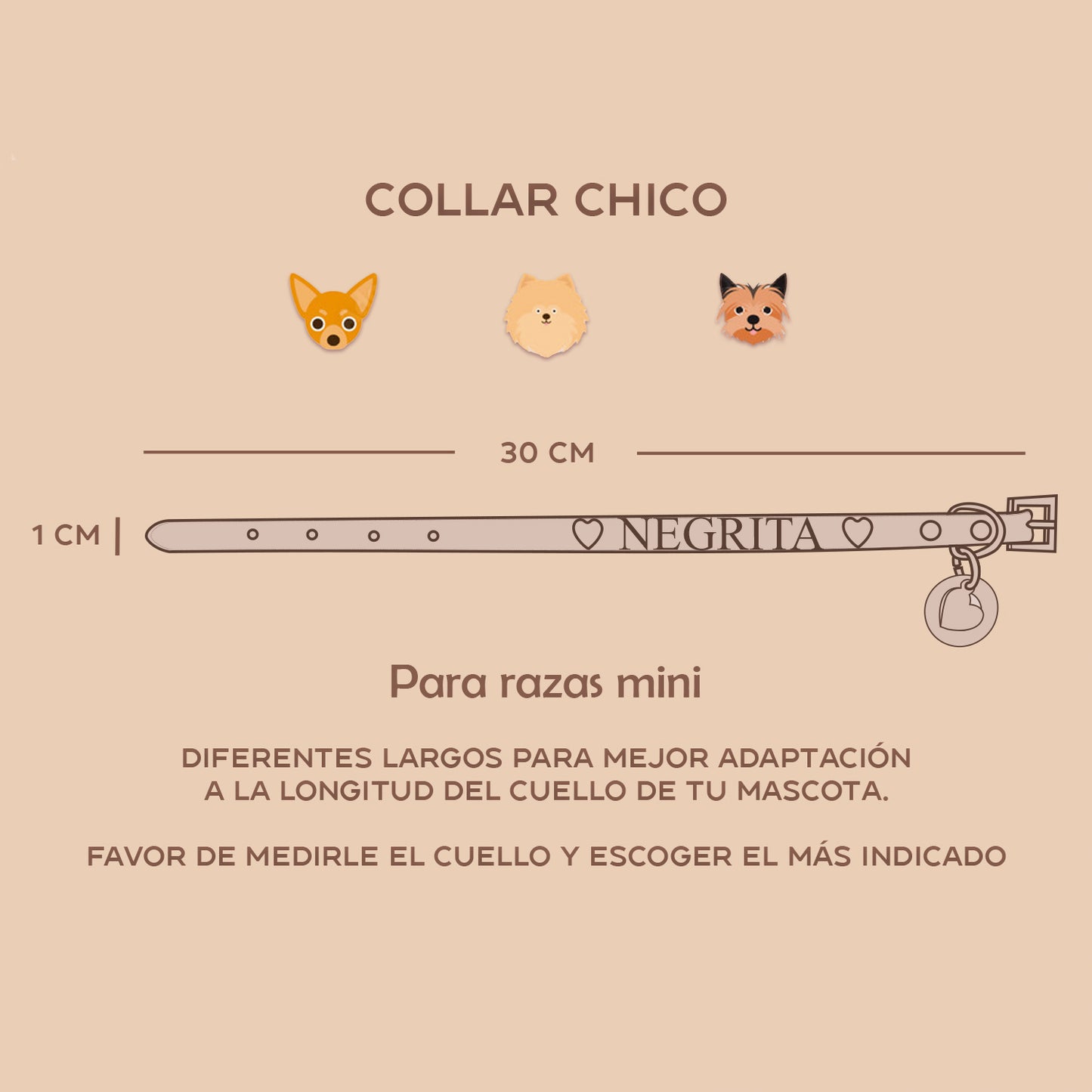 TRACKER COLLAR