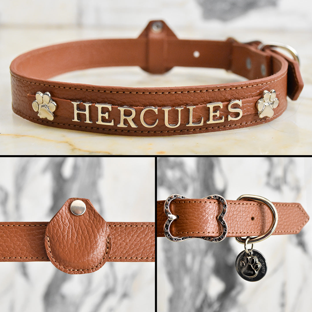 TRACKER COLLAR