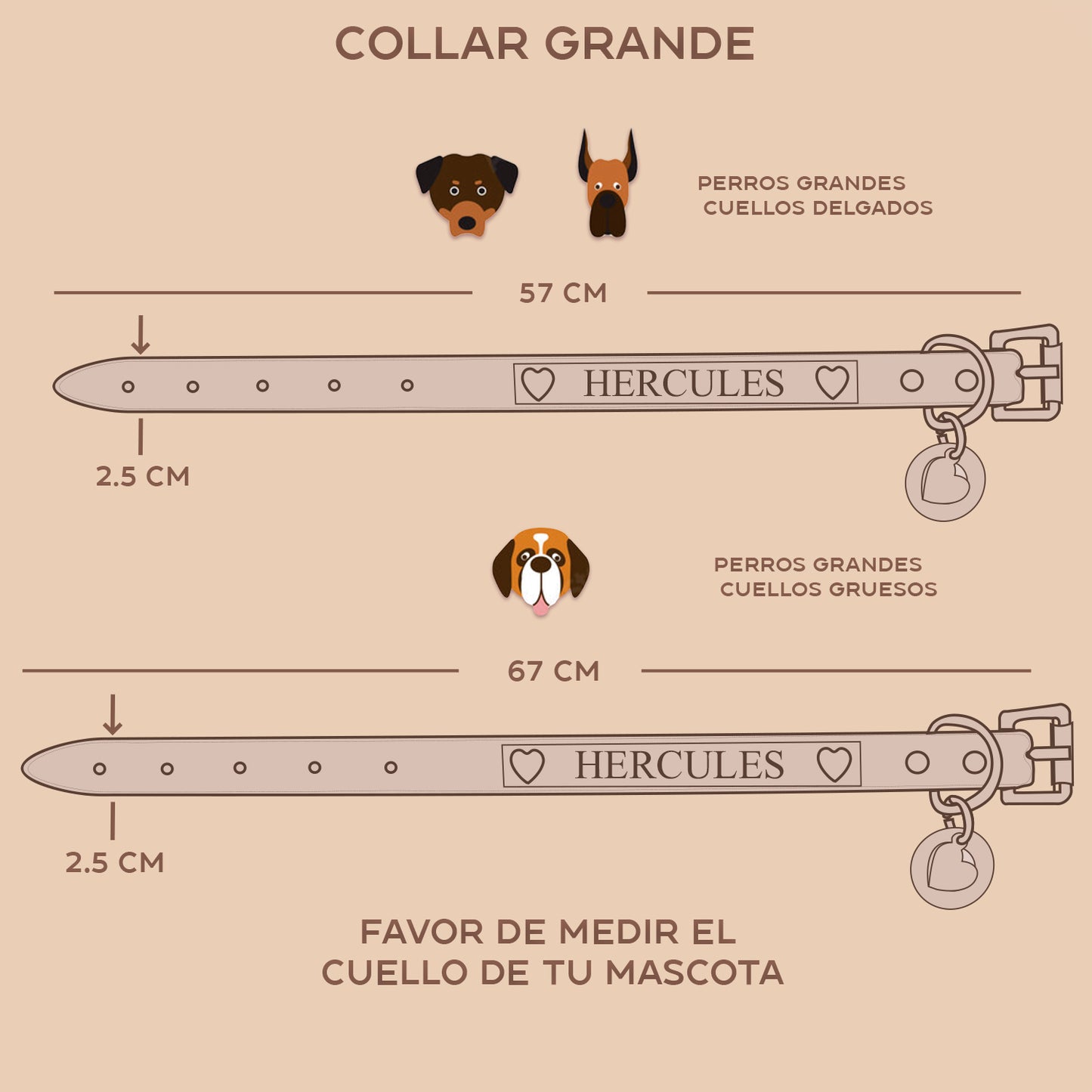 TRACKER COLLAR